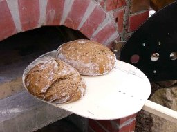 Backofen16